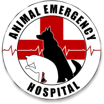 Animal emergency hospital near hot sale me