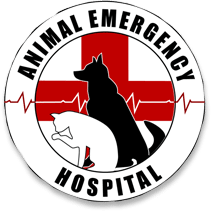 nearest animal hospital 24 hours