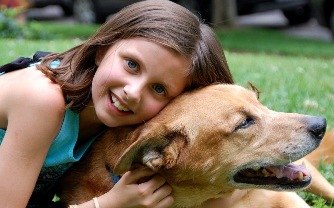 Easing Your Pet’s Transition to Back-to-School Season
