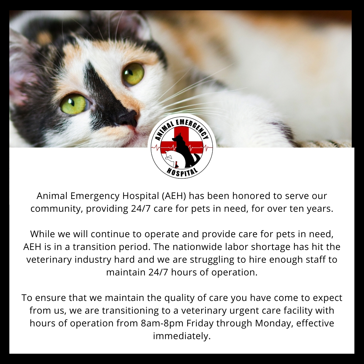 Emergency After Hours Vet In Flint Animal Emergency Hospital