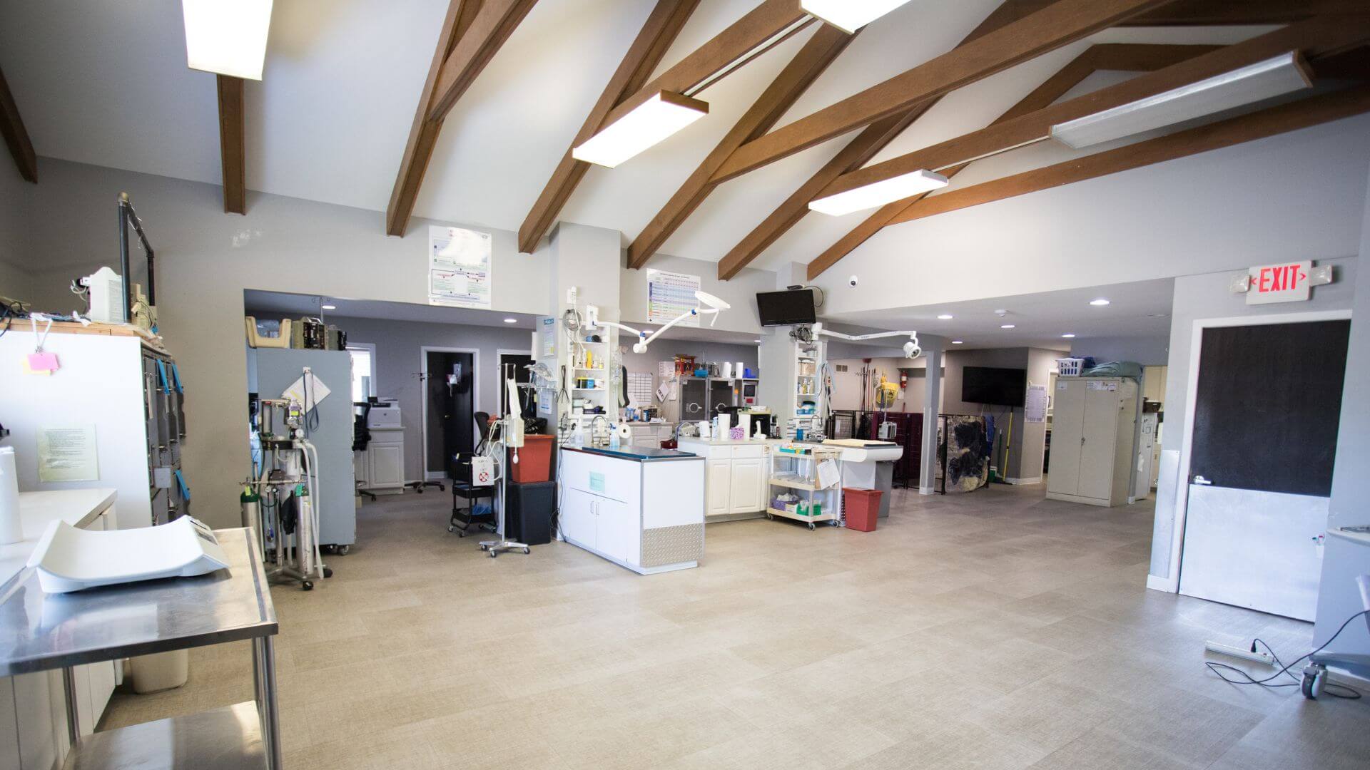 Pet Ventilator in Burton, MI Ventilator Therapy for Dogs & Cats