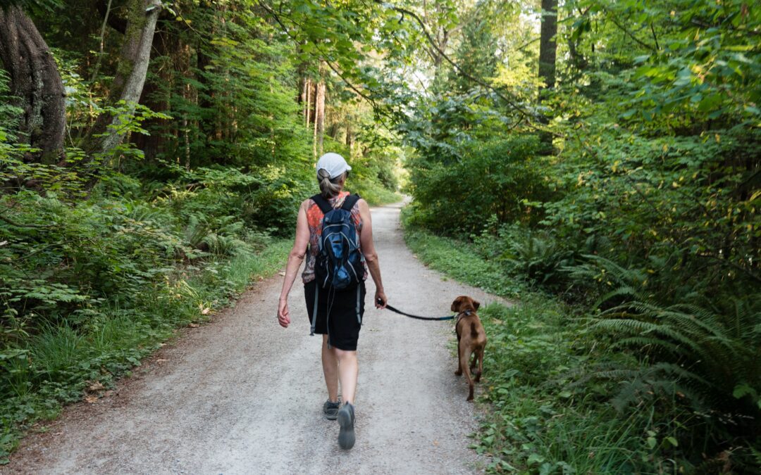Ensuring Your Dog’s Safety on Walks: An Essential Guide